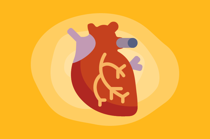 3 Diagnosis untuk Mendeteksi Patent Foramen Ovale 3 Diagnosis untuk Mendeteksi Patent Foramen Ovale