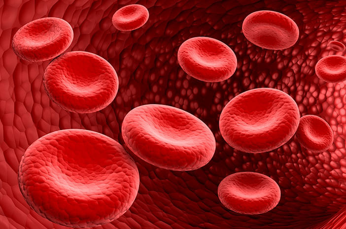 Darah merah sel 6 Fungsi