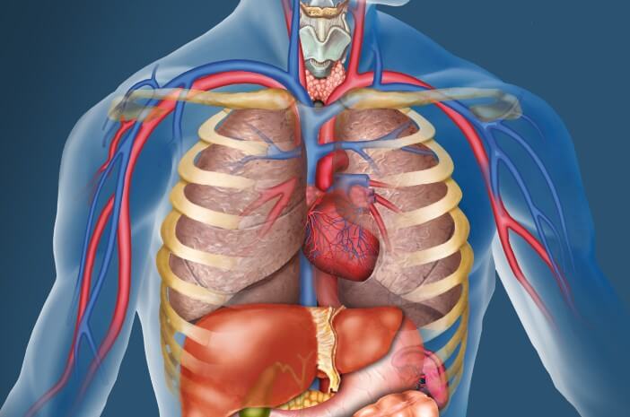 Pneumonia Bisa Akibatkan Efusi Pleura, Ini Alasannya