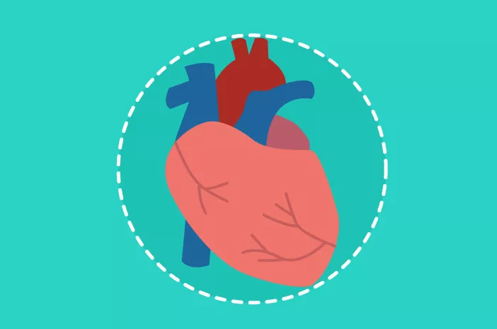 Inilah 5 Fakta tentang Kebocoran Katup Jantung