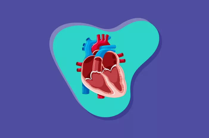6 Hal yang Memicu Penyakit Jantung