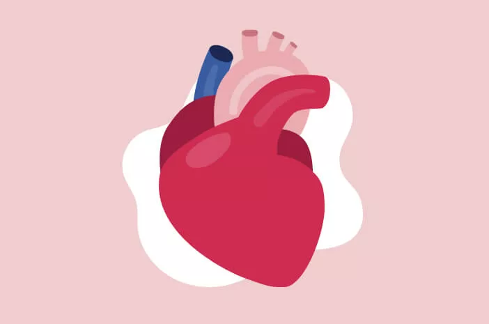 Infeksi pada Jantung Dapat Sebabkan Kardiomiopati