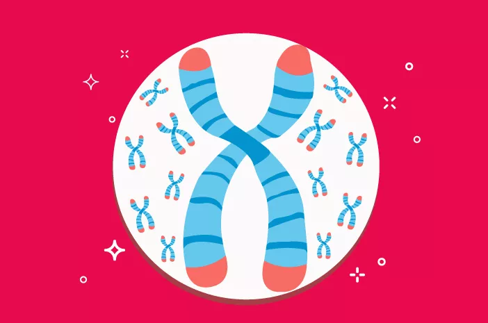 Kelainan Kromosom Bisa Sebabkan Wanita Kena Sindrom Turner