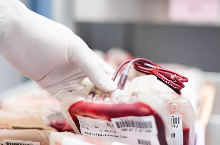 Ini 4 Fakta Unik Donor Darah yang Perlu Diketahui