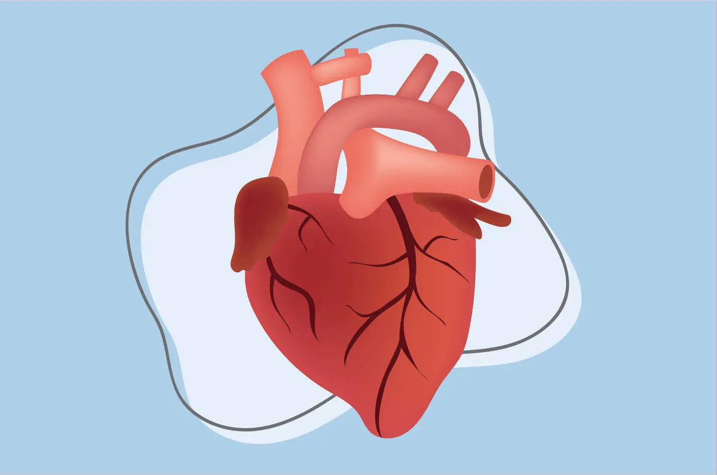 Perlu Tahu, 6 Fakta Mengenai Organ Jantung Manusia