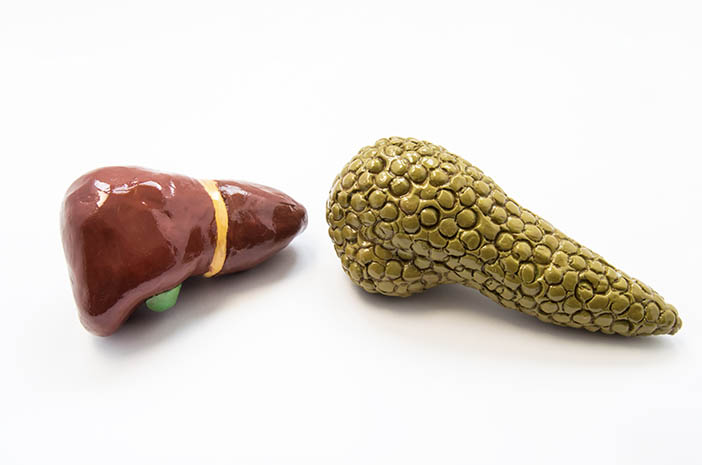 Ketahui Perbedaan Kanker Pankreas dan Liver