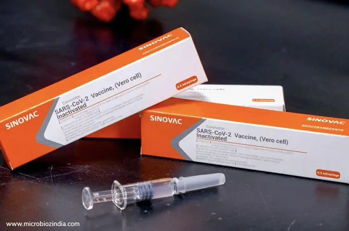 Perkiraan Vaksin Corona Sinovac Siap Didistribusikan