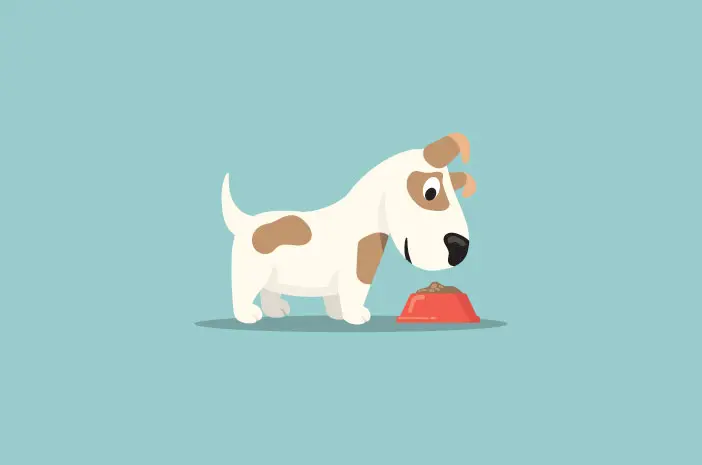 7 Makanan yang Sebaiknya Dihindari oleh Anjing Peliharaan