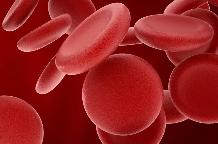 Darah Membeku, Apa Bahayanya bagi Kesehatan?