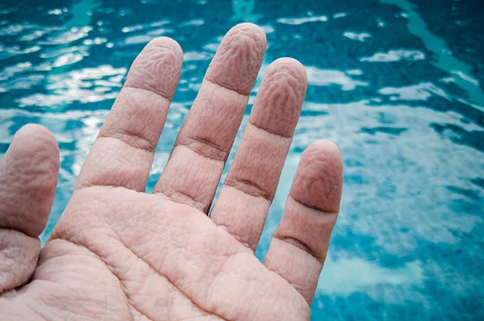 Mengapa Jari Tangan Mengerut ketika Terlalu Lama Berenang? 