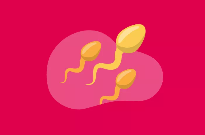 Baik atau Tidaknya Hasil Cek Sperma Bisa Bergantung pada Makanan?