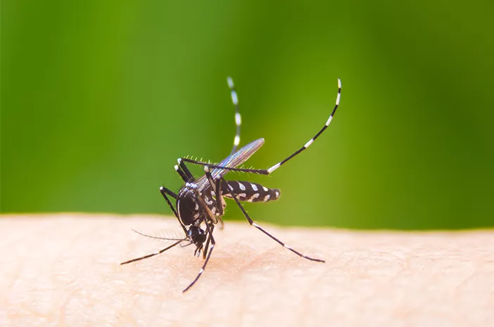 Penanganan Pertama Saat Anak Menunjukkan Gejala Malaria