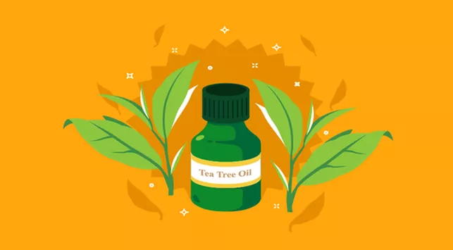 4 Khasiat Tea Tree Oil Untuk Kecantikan