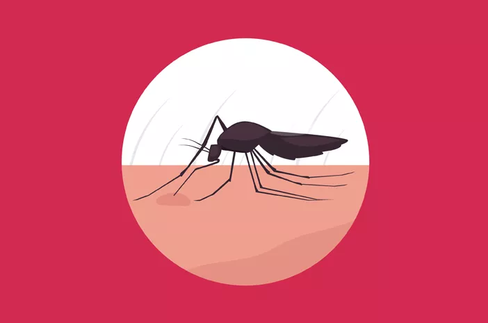 Ketahui Pencegahan Virus Zika yang Dapat Dilakukan di Rumah