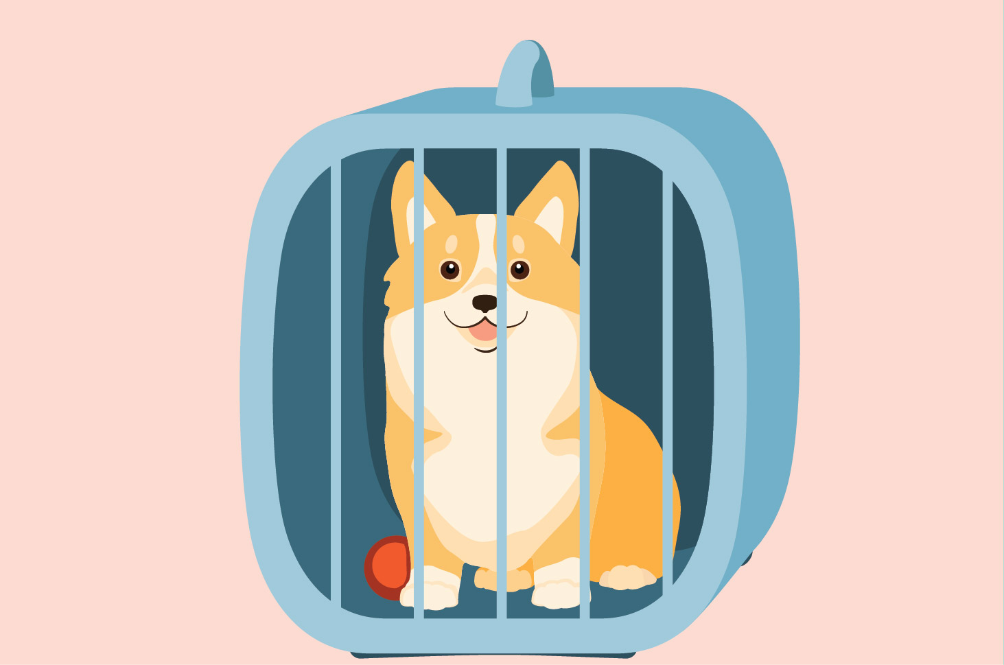 Seberapa Sering Harus Membersihkan Kandang Anjing?