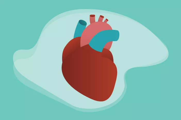 Bukan Hanya Gagal Jantung, Ini 4 Komplikasi dari Penyakit Katup Jantung