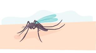 Mitos atau Fakta Digigit Serangga Picu Reaksi Anafilaktik