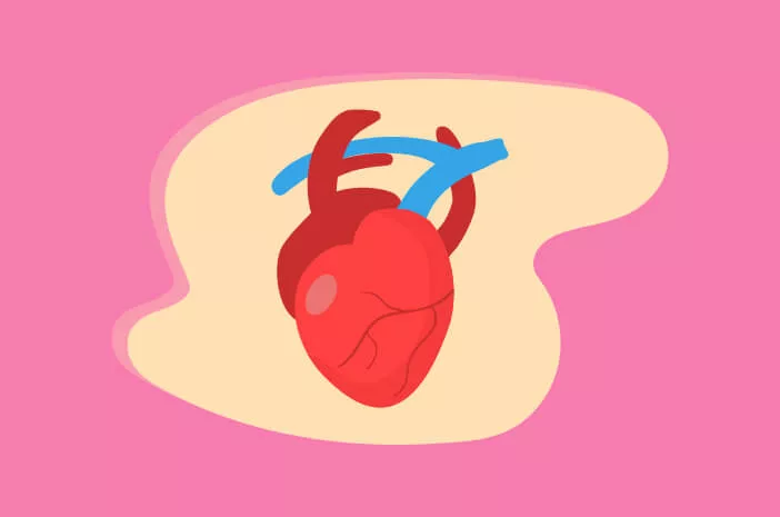Cara Hipertensi Sebabkan Penyakit Jantung