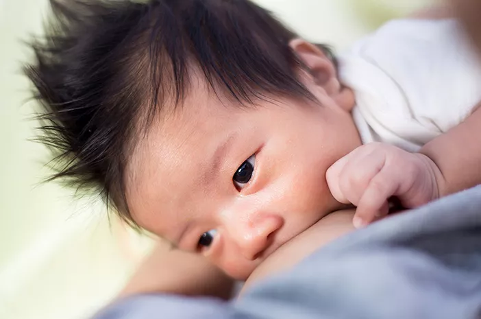 Ketahui Fakta Tentang Bayi Bingung Puting