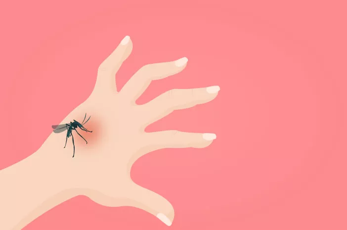 Hal yang Terjadi pada Tubuh saat Alami Penyakit Chikungunya