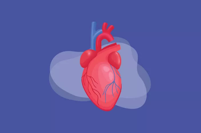 Alasan Difteri Bisa Sebabkan Kerusakan Otot Jantung