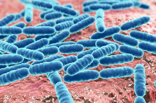 Kecil tetapi Berbahaya, Inilah 5 Penyakit yang Disebabkan Bakteri