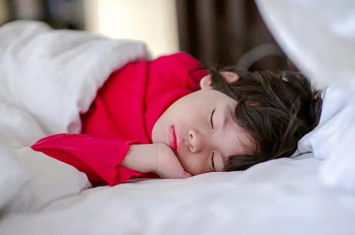 Kebersihan Kamar Tidur Berpengaruh pada Risiko Demam Berdarah