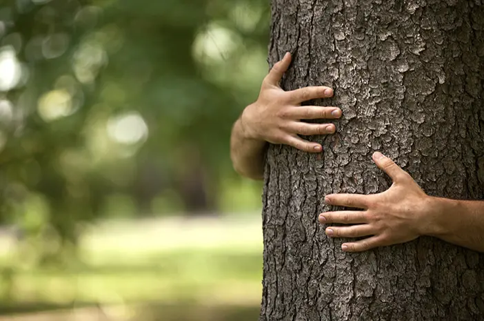 Ketahui Manfaat Memeluk Pohon untuk Kesehatan Mental