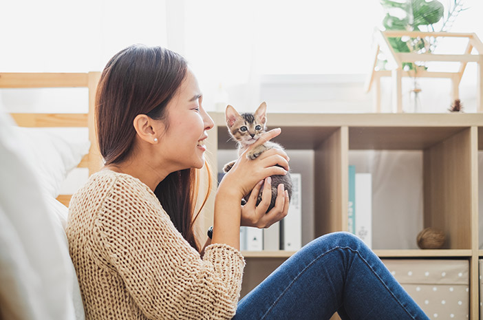 Penyakit Kulit yang Bisa Menular dari Kucing ke Manusia