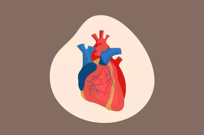 Cegah Tamponade Jantung dengan Beberapa Cara Ini