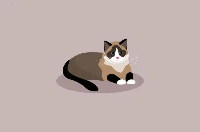 6 Cara Mencegah Penyakit Ginjal pada Kucing Peliharaan