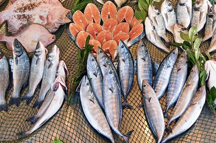 Rutin Konsumsi Ikan Bisa Turunkan Kadar Trigliserida