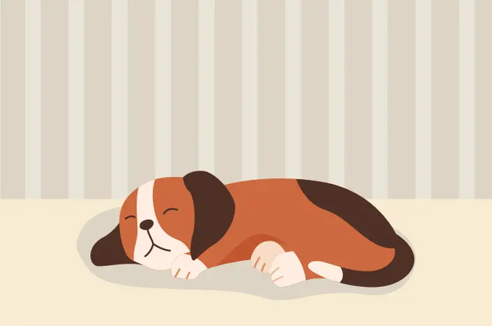 Ini Alasan Anjing Sering Menggaruk Tempatnya Sebelum Tidur