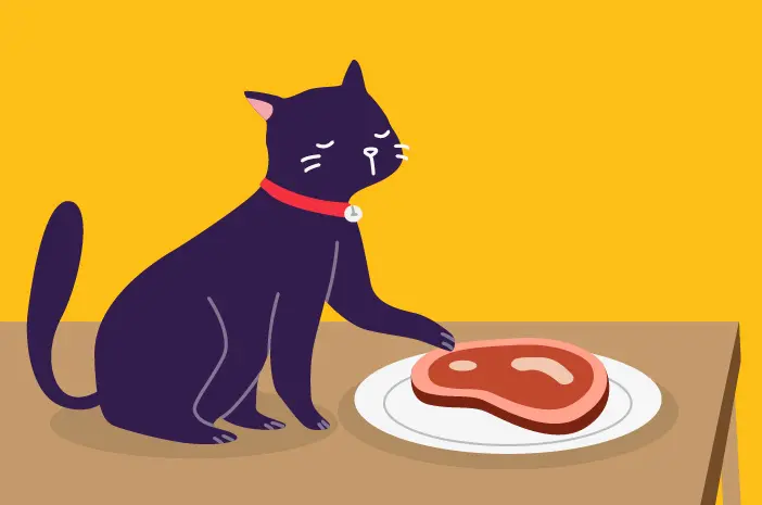 Apakah Kucing Boleh Memakan Daging Mentah?