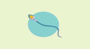 Perlukah Lakukan Cek Sperma untuk Mengatahui Azoospermia?