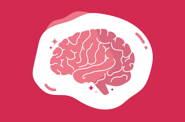 Yakin Otak Kiri Lebih Dominan atau Sebaliknya? Ini Kata Sains