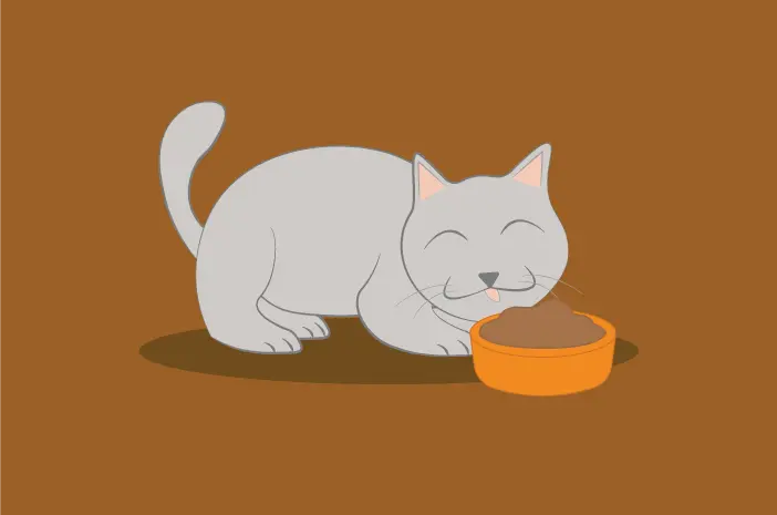 Begini 2 Cara Menjaga Kebersihan Makanan Kucing