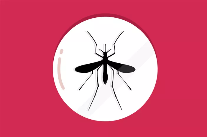Disebabkan Nyamuk, Ini Perbedaan Malaria dan DBD