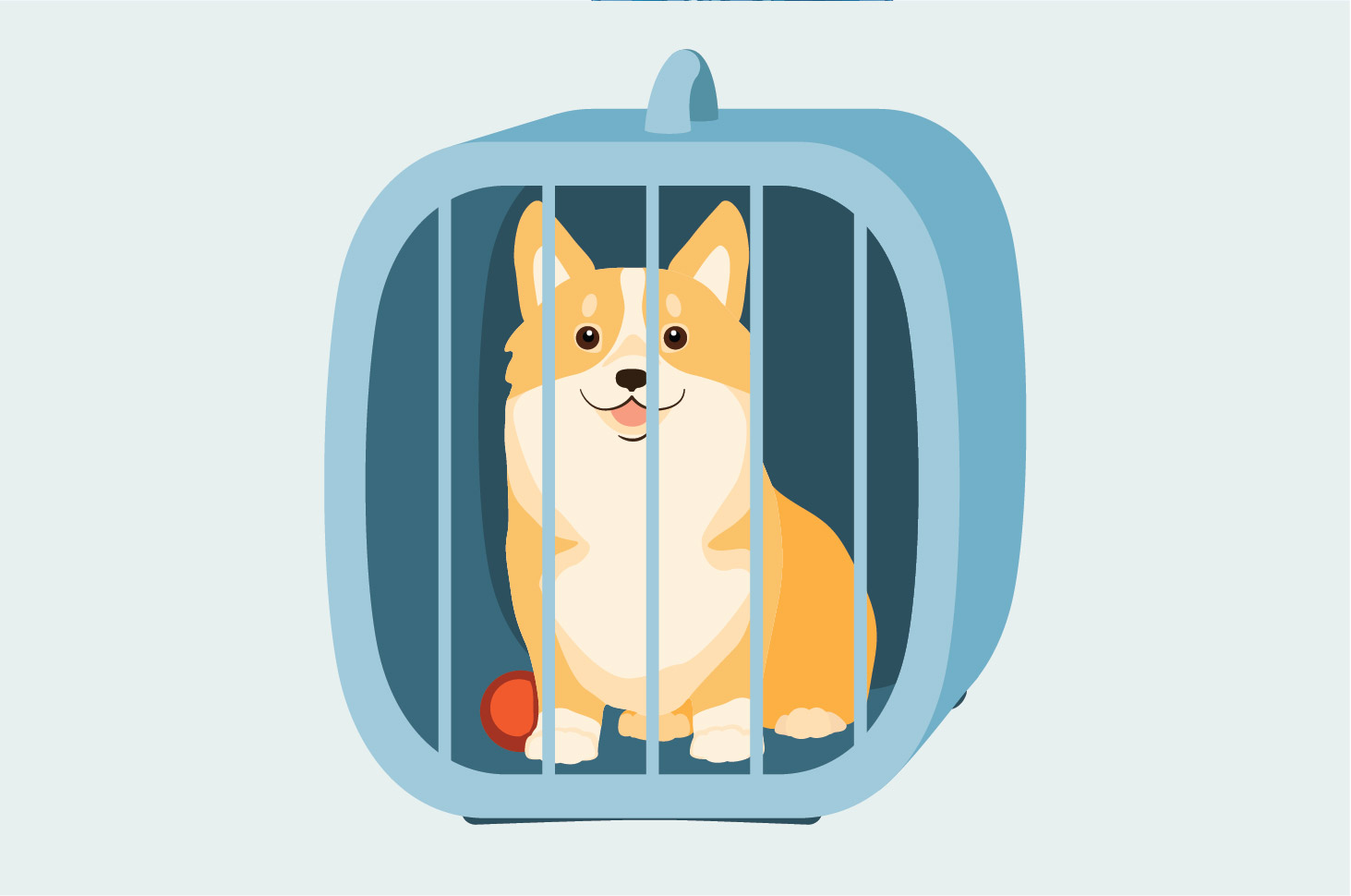 Begini Cara yang Tepat Memilih Kandang Anjing