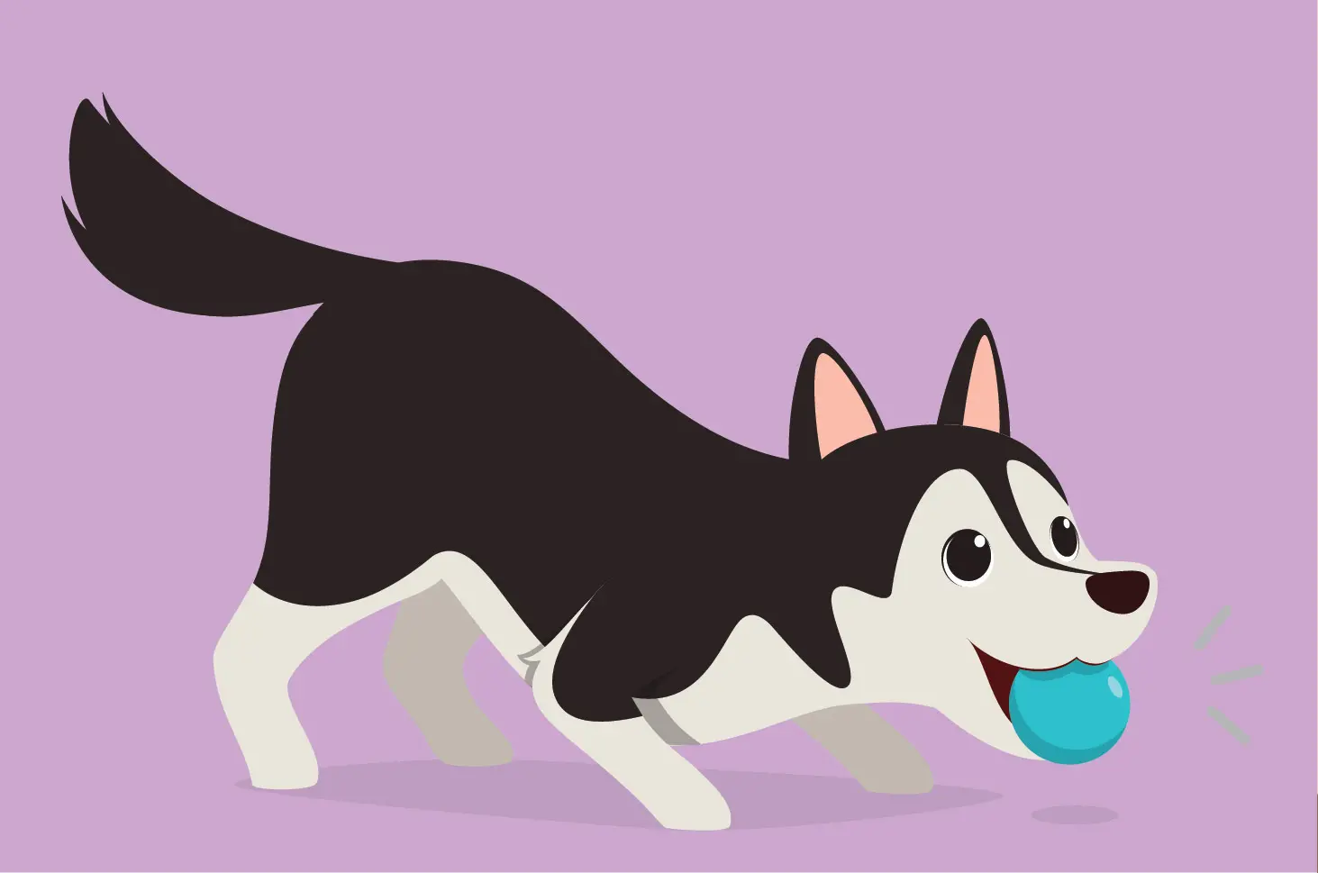 5 Jenis Anjing yang Mudah untuk Dilatih