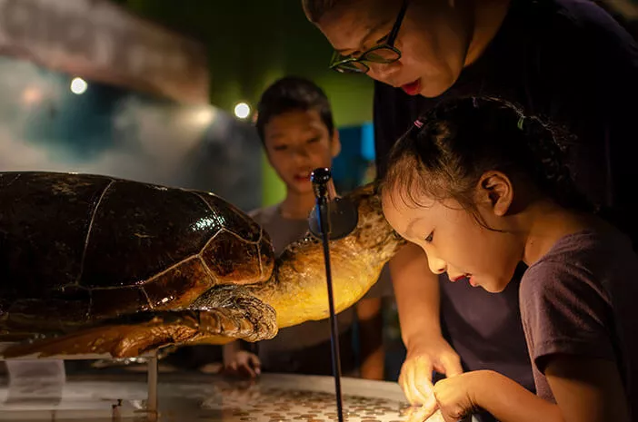 Jangan Melulu Ke Mall, Ini 7 Cara Didik Anak Sambil Liburan