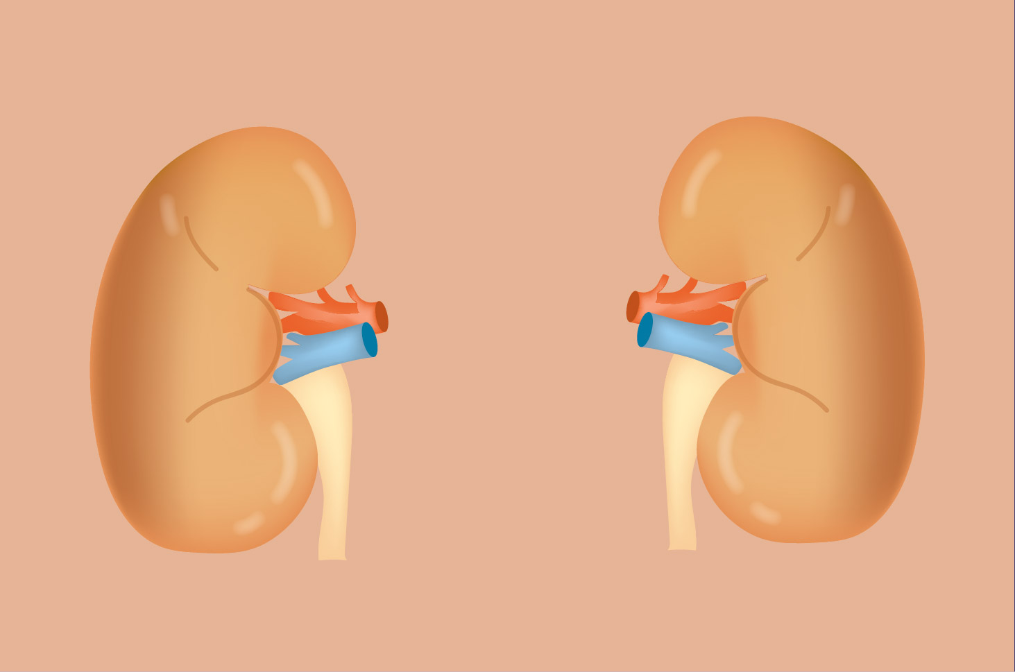 Kelompok Orang yang Berisiko Alami Gagal Ginjal Akut