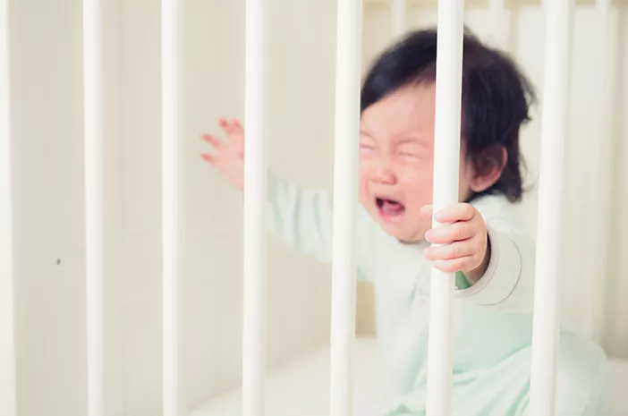 Purple Cry, Momen saat Bayi Menangis Tanpa Henti 