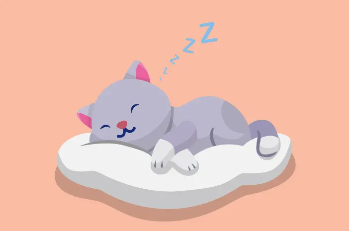 Kucing Tidur Mendengkur, Awas Gangguan Pernapasan