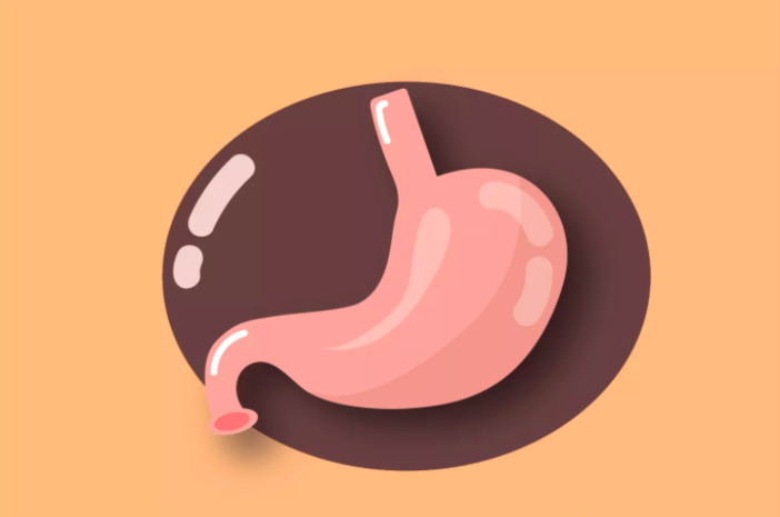 Gastroparesis - Pengertian, Gejala, Penyebab, Faktor Risiko, Diagnosis, Pengobatan dan Efek Samping, Pencegahan, Kapan Harus ke Dokter