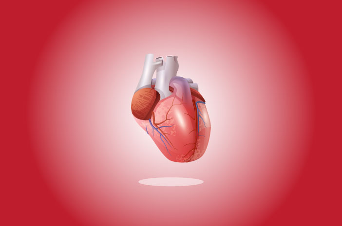3 Pemeriksaan Penunjang untuk Mendiagnosis Sirosis