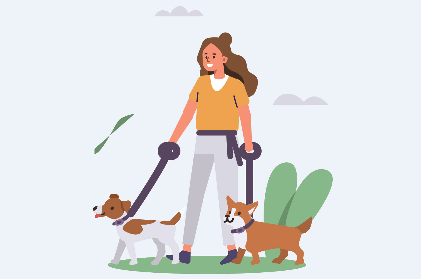Road Trip dengan Anjing Kesayangan, Persiapkan 4 Hal Ini