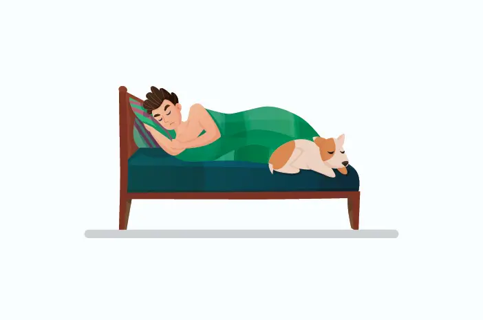 Bolehkah Membiarkan Anjing Peliharaan Tidur di Kasur?