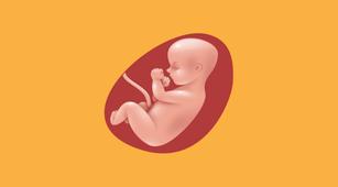 Pada Usia Kehamilan Berapa Plasenta Previa Bisa Terdeteksi?