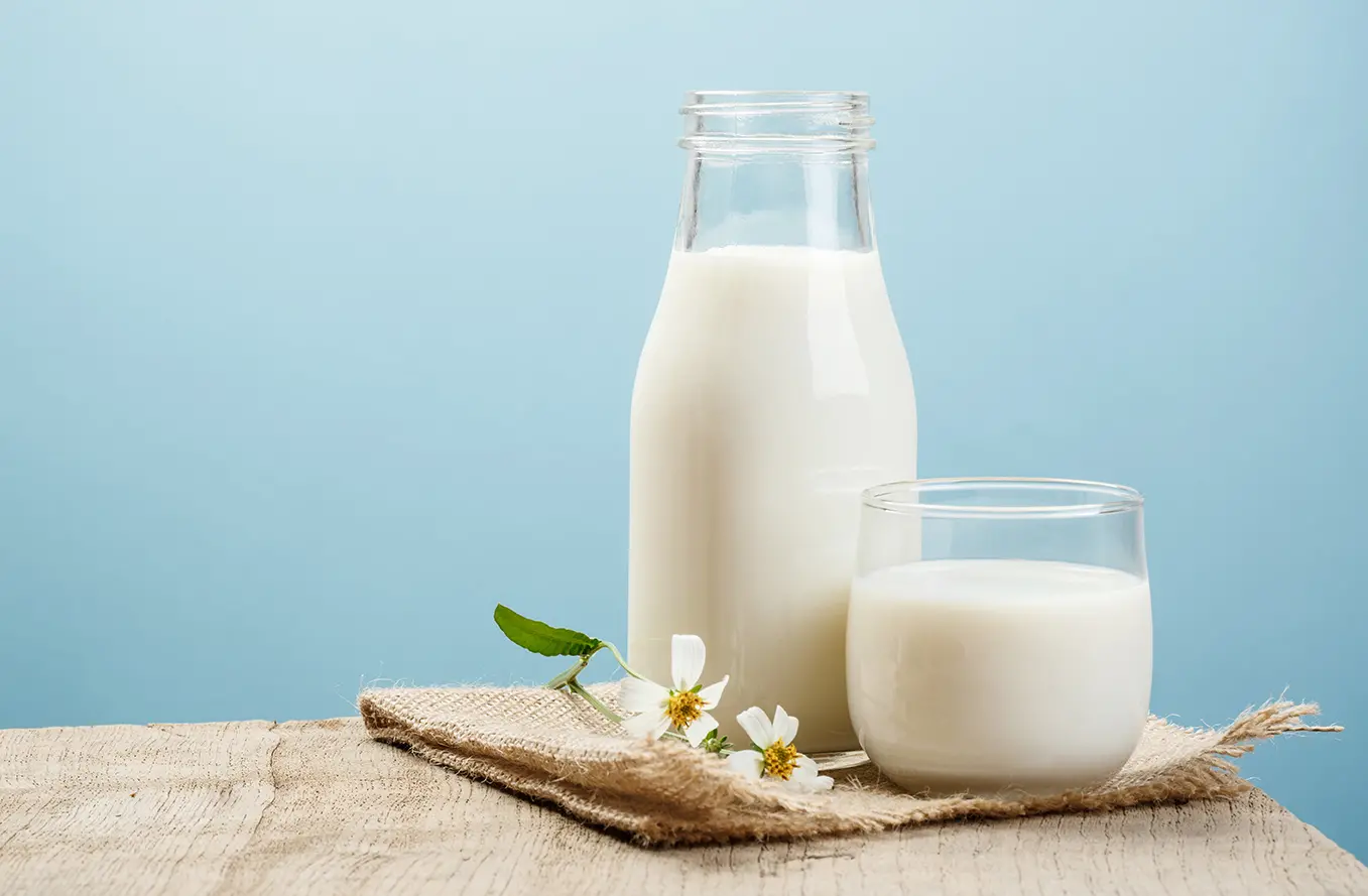 Apakah Susu Aman Dikonsumsi Pengidap Asam Lambung?